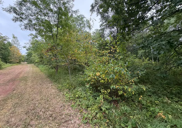 2nd image of Lot 2 Whitetail, Crosby, MN 56441 | MLS# 7128785