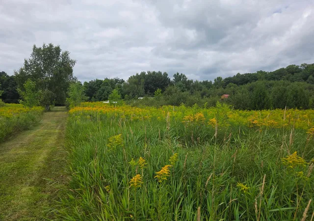Photo 2 of Sale Pending at 2979 12th Street, Barronett, WI 54813 | MLS# 7128797 | Listing updated on 2026-09-24