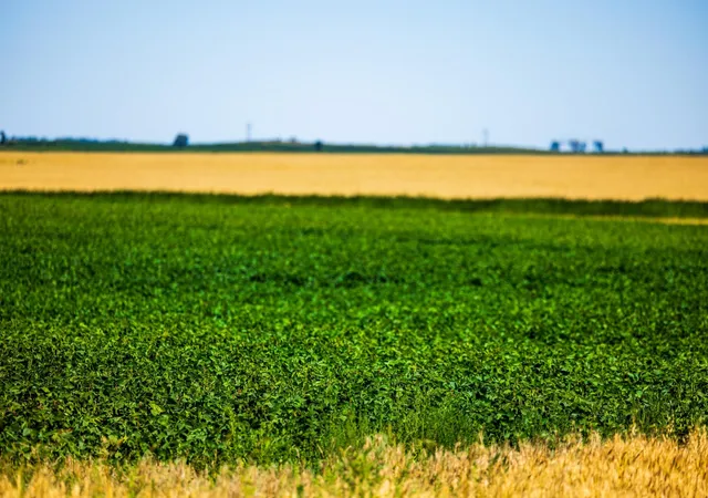 Photo 3 of Land for sale at Tbd 15 St SE Lot 1, Wimbledon, ND 58492 | MLS# 7128979 | Listing updated on 2026-08-18