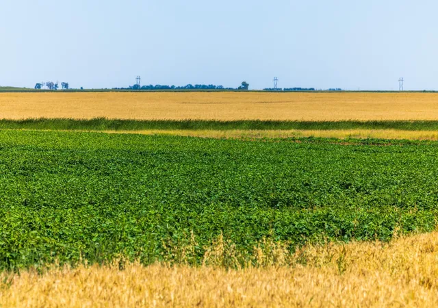 Photo 4 of Land for sale at Tbd 15 St SE Lot 1, Wimbledon, ND 58492 | MLS# 7128979 | Listing updated on 2026-08-18