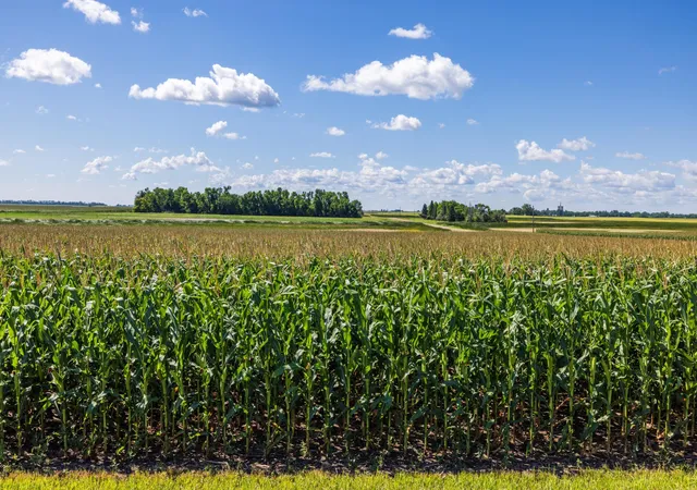 Photo 2 of Land for sale at Tbd 16 St SE Lot 3, Wimbledon, ND 58492 | MLS# 7128991 | Listing updated on 2026-08-18