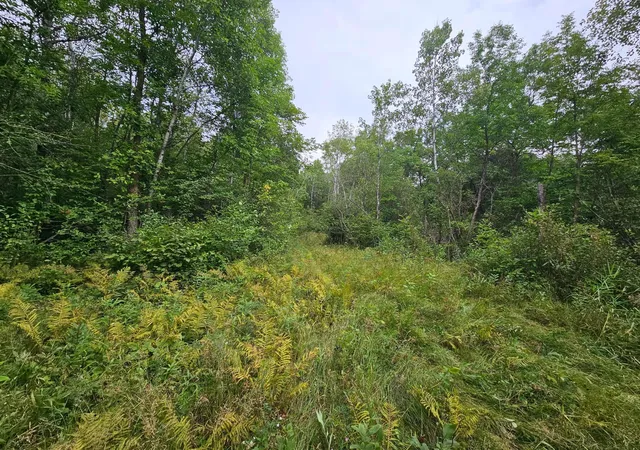 2nd image of Tbd Moose River Rd E, Grygla, MN 56727 | MLS# 7128999