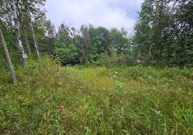 3rd image of Tbd Moose River Rd E, Grygla, MN 56727 | MLS# 7128999