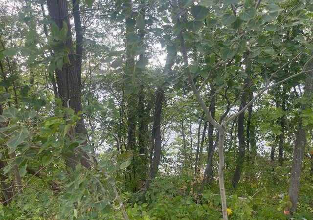 2nd image of Tbd Sand Lake Rd, Moose Lake, MN 55767 | MLS# 7129088
