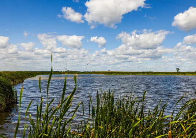 Photo 39 of Land for sale at Tbd Cty Rd 4 Lot, Wimbledon, ND 58492 | MLS# 7129108 | Listing updated on 2026-08-18