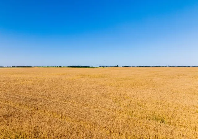 Photo 4 of Land for sale at Tbd Cty Rd 4 Lot, Wimbledon, ND 58492 | MLS# 7129108 | Listing updated on 2026-08-18