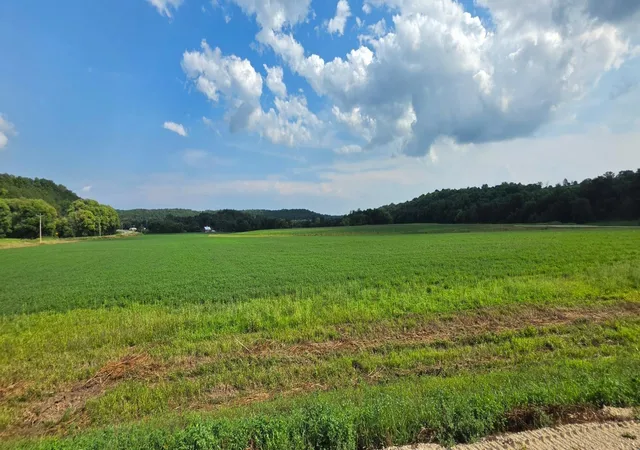 Photo 3 of Land for sale at 21 County Rd, Mazeppa, MN 55956 | MLS# 7129182 | Listing updated on 2026-08-31