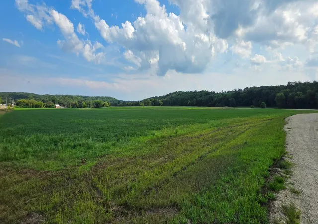 Photo 3 of Land for sale at 21 County Rd, Mazeppa, MN 55956 | MLS# 7129182 | Listing updated on 2026-08-31