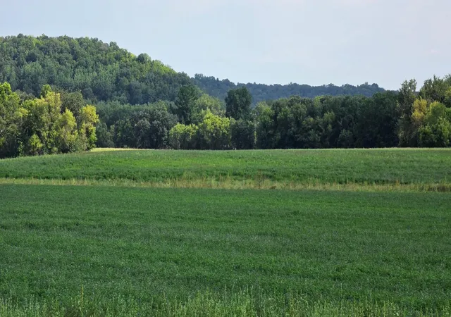 Photo 4 of Land for sale at 21 County Rd, Mazeppa, MN 55956 | MLS# 7129182 | Listing updated on 2026-08-31