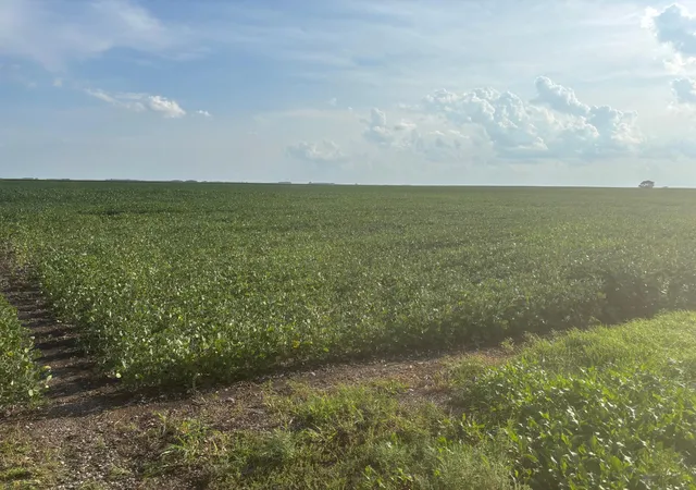 Photo 1 of Land for sale at 62495 310th St And 620th, Chokio, MN 56221 | MLS# 7129266 | Listing updated on 2026-08-31