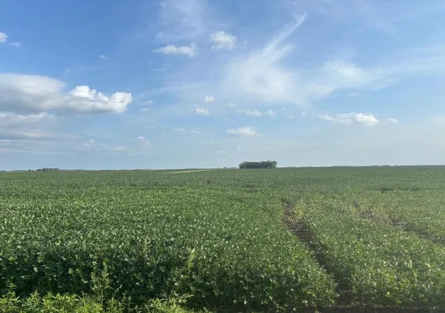 Photo 2 of Land for sale at 62495 310th St And 620th, Chokio, MN 56221 | MLS# 7129266 | Listing updated on 2026-08-31