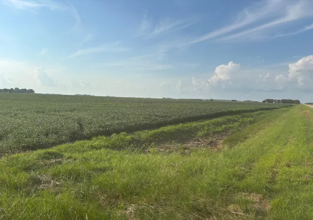 Photo 3 of Land for sale at 62495 310th St And 620th, Chokio, MN 56221 | MLS# 7129266 | Listing updated on 2026-08-31
