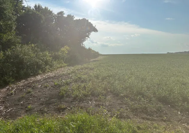 Photo 3 of Land for sale at 62495 310th St And 620th, Chokio, MN 56221 | MLS# 7129266 | Listing updated on 2026-08-31