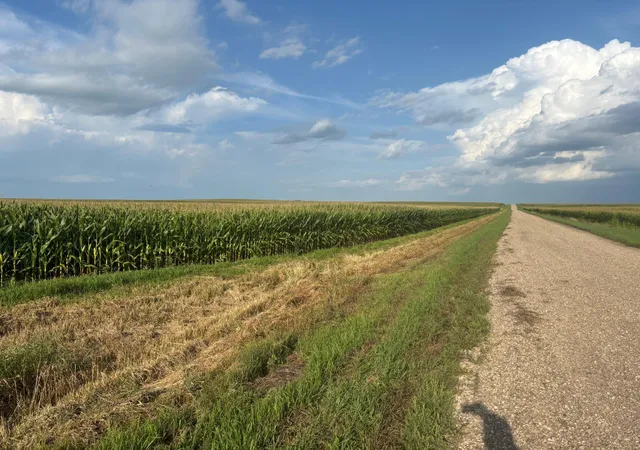 Photo 1 of Land for sale at 320th St 630th And, Chokio, MN 56221 | MLS# 7129298 | Listing updated on 2026-08-31