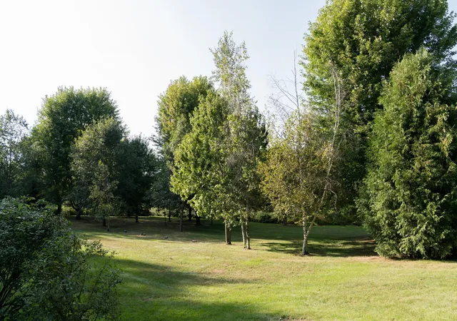 60th image of S51 Deer Run Rd, Mondovi, WI 54755 | MLS# 7129315