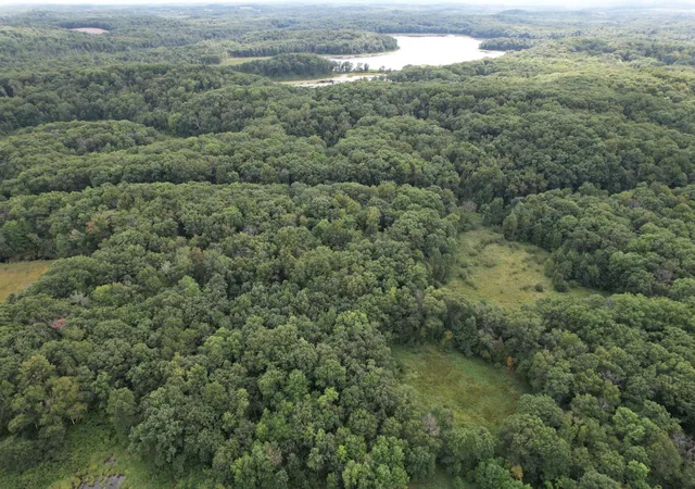 3rd image of Tbd 335Th Ave, Cushing, MN 56443 | MLS# 7129327
