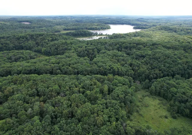 4th image of Tbd 335Th Ave, Cushing, MN 56443 | MLS# 7129327