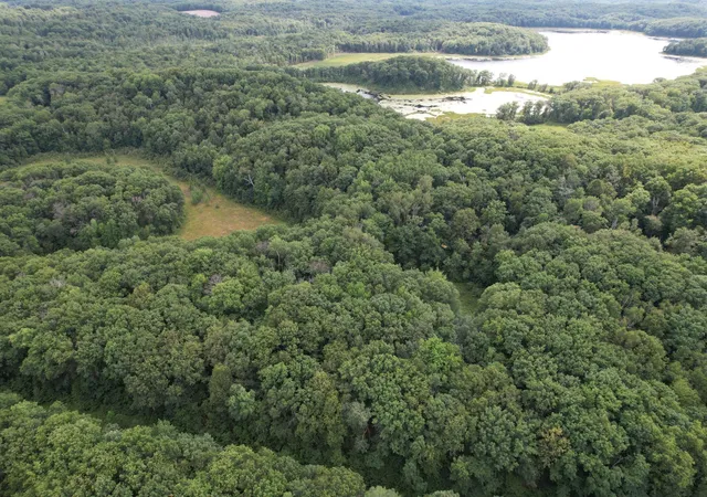 5th image of Tbd 335Th Ave, Cushing, MN 56443 | MLS# 7129327