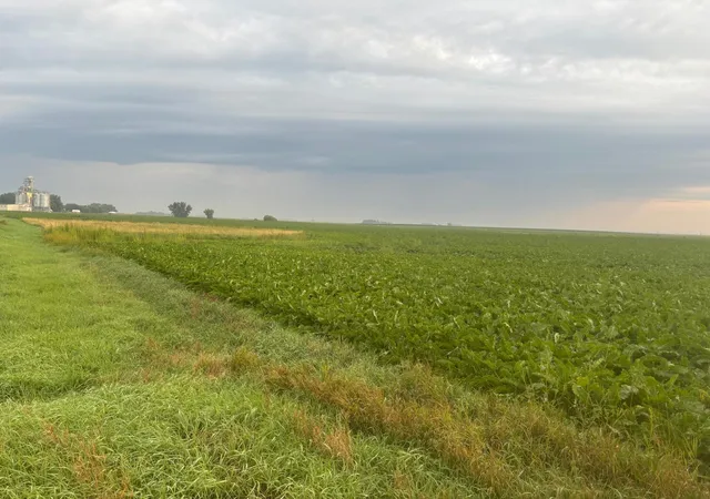 Photo 1 of Land for sale at Us Highway 12, De Graff, MN 56215 | MLS# 7129362 | Listing updated on 2026-08-31