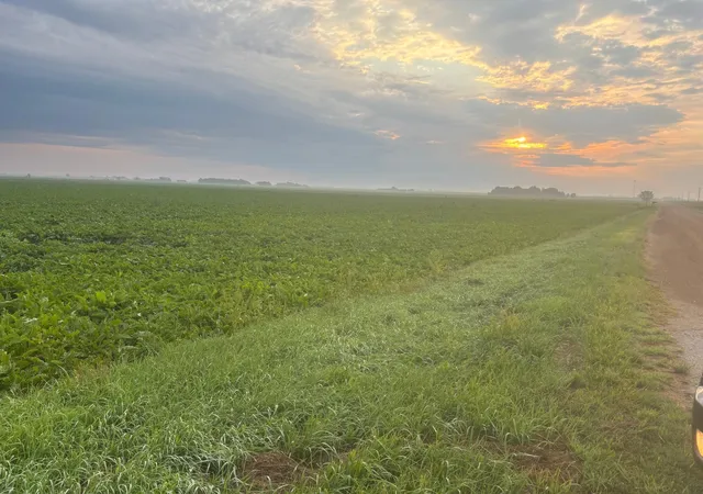 Photo 3 of Land for sale at US Highway 12, De Graff, MN 56215 | MLS# 7129362 | Listing updated on 2026-08-31