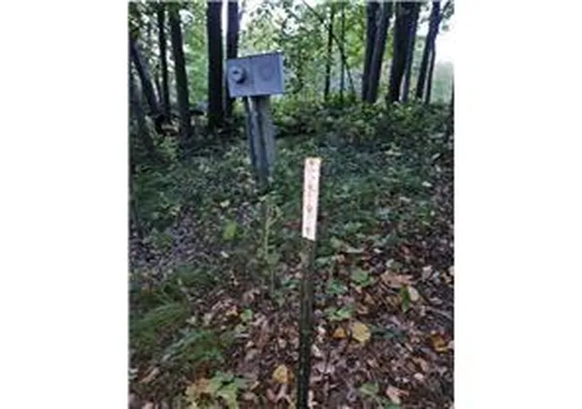24th image of Xxxxx Tall Timbers Rd Sw, Garfield, MN 56332 | MLS# 7129390