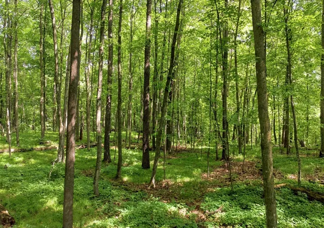 Photo 3 of Land for sale at 260th Emery, Erhard, MN 56534 | MLS# 7129431 | Listing updated on 2026-10-01