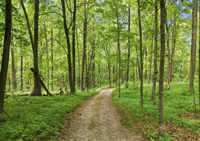 Photo 3 of Land for sale at 260th Emery, Erhard, MN 56534 | MLS# 7129431 | Listing updated on 2026-10-01