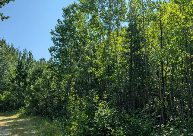 Photo 3 of Land for sale at Tbd Kennedy Rd, Cook, MN 55723 | MLS# 7129491 | Listing updated on 2026-08-21