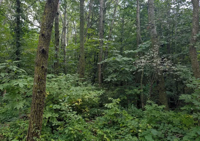 Photo 3 of Land for sale at 36962 560th Avenue N, New York Mills, MN 56567 | MLS# 7129577 | Listing updated on 2026-08-26