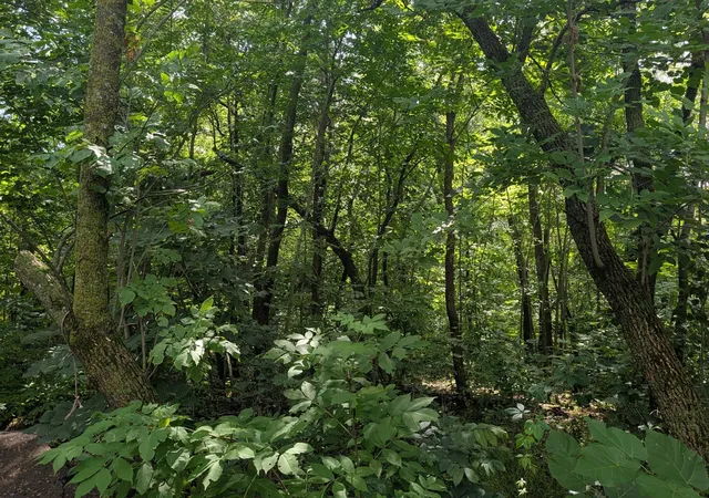 Photo 4 of Land for sale at 36962 560th Avenue N, New York Mills, MN 56567 | MLS# 7129577 | Listing updated on 2026-08-26