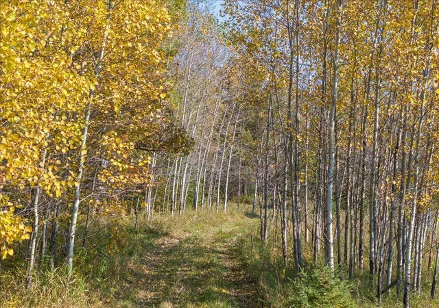 17th image of Tbd State 64, Akeley, MN 56433 | MLS# 7129691