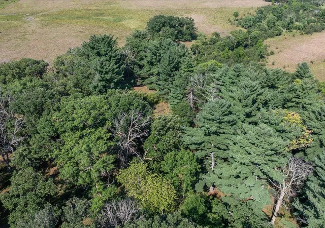 22nd image of Tbd 40 Acre State 210, Pillager, MN 56473 | MLS# 7129942