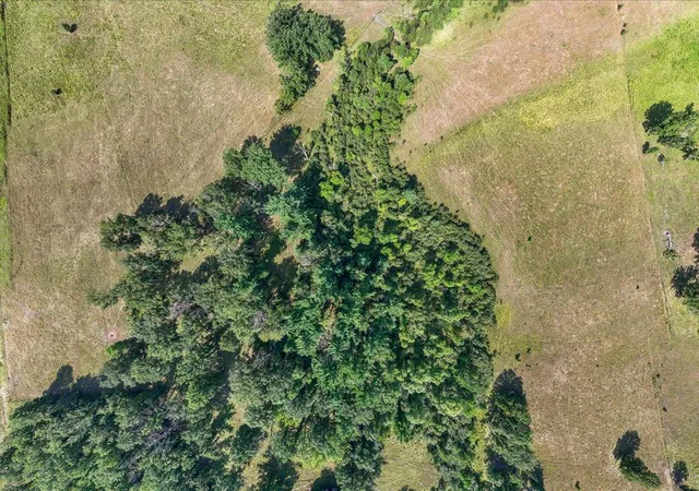 5th image of Tbd 40 Acre State 210, Pillager, MN 56473 | MLS# 7129942
