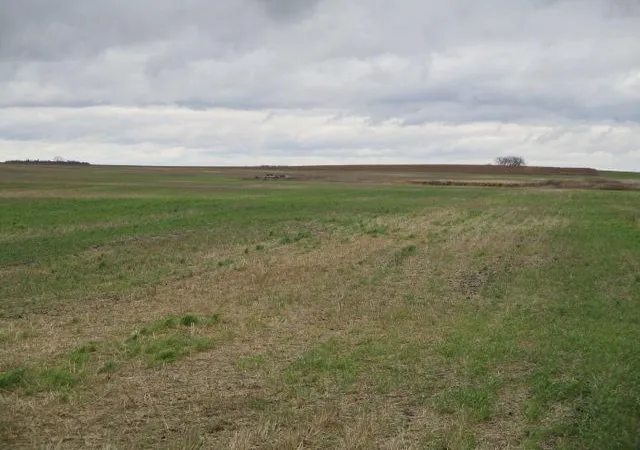 Photo 2 of Land for sale at Tbd, Sarles, ND 58339 | MLS# 7129961 | Listing updated on 2026-08-20