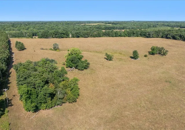 Photo 3 of Land for sale at Tbd 80 Acres State 210, Pillager, MN 56473 | MLS# 7129985 | Listing updated on 2026-09-18