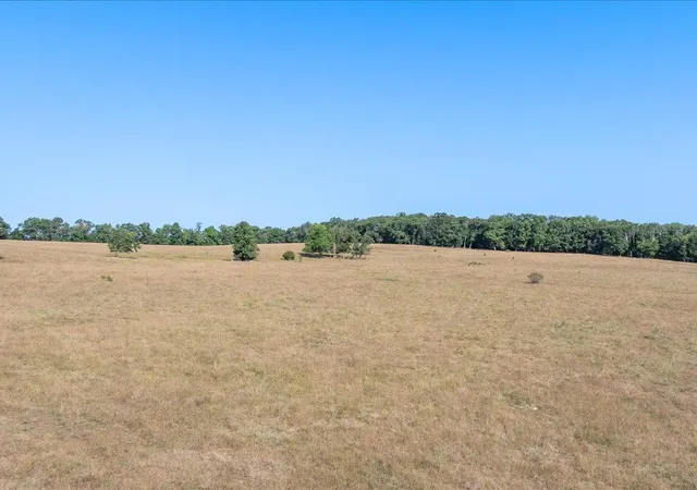 Photo 3 of Land for sale at Tbd 80 Acres State 210, Pillager, MN 56473 | MLS# 7129985 | Listing updated on 2026-09-18