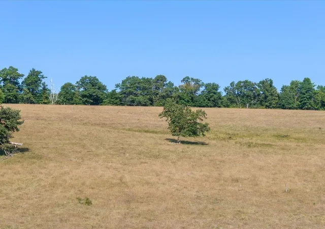 Photo 4 of Land for sale at Tbd 80 Acres State 210, Pillager, MN 56473 | MLS# 7129985 | Listing updated on 2026-09-18