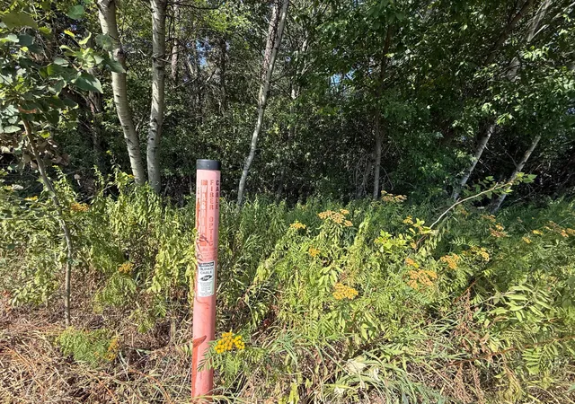 Photo 3 of Land for sale at Tbd 13th Street Se, Brainerd, MN 56401 | MLS# 7129996 | Listing updated on 2026-08-19