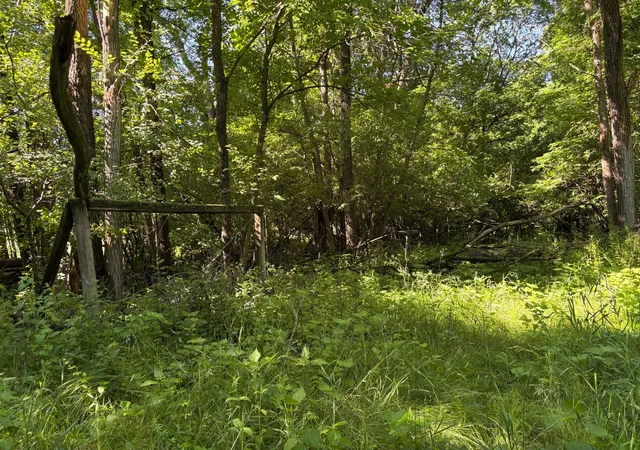 Photo 3 of Sale Pending at 78919 145th Street, Sacred Heart, MN 56285 | MLS# 7130001 | Listing updated on 2026-09-12