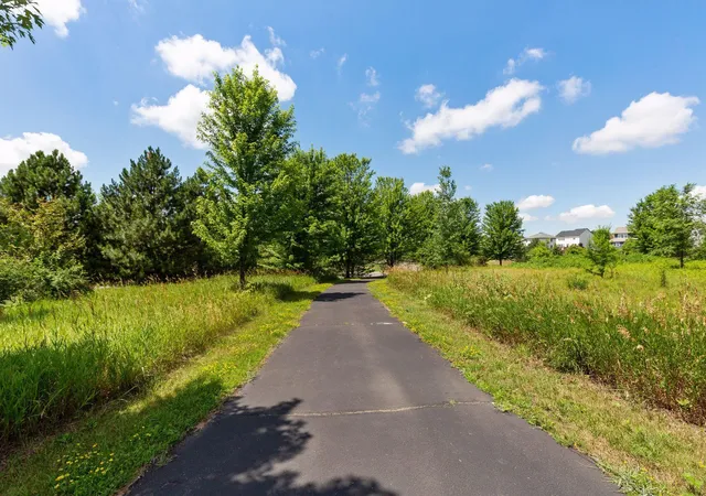 62nd image of 13938 Ashford Path, Rosemount, MN 55068 | MLS# 7130219