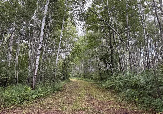 1st image of Tbd County Road 12, Kettle River, MN 55767 | MLS# 7130368