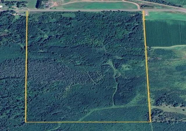 2nd image of Tbd County Road 12, Kettle River, MN 55767 | MLS# 7130368