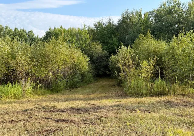 Photo 4 of Land for sale at Tbd County Road 12, Moose Lake, MN 55767 | MLS# 7130368 | Listing updated on 2026-10-06