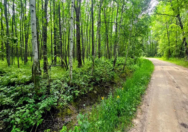 Photo 4 of Sale Pending at Tbd Dawson Rd NW, Angle Inlet, MN 56711 | MLS# 7130508 | Listing updated on 2026-09-03