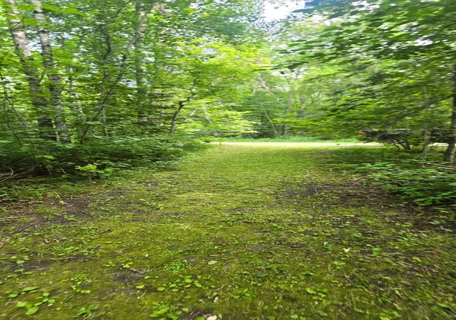 Photo 3 of Single family home for sale at 17365 E Pine Dr NW, Angle Inlet, MN 56711 | MLS# 7130516 | Listing updated on 2026-08-27