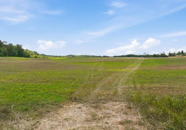 5th image of 10 Acres State Hwy 40, Bruce, WI 54819 | MLS# 7130540