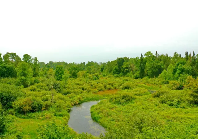 2nd image of 17001 White Spruce Rd, Finlayson, MN 55735 | MLS# 7130559