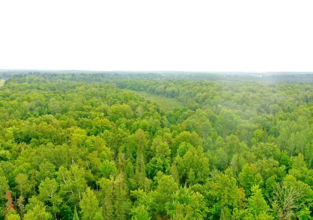 Photo 3 of Land for sale at 17001 White Spruce Rd, Finlayson, MN 55735 | MLS# 7130559 | Listing updated on 2026-08-31