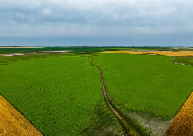 1st image of Tbd 94 St Ne, Bottineau, ND 58318 | MLS# 7130715