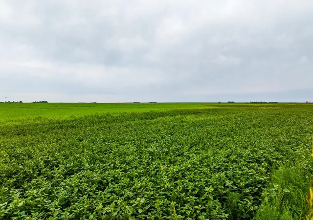 Photo 3 of Land for sale at Tbd 94 St Ne, Bottineau, ND 58318 | MLS# 7130715 | Listing updated on 2026-08-24